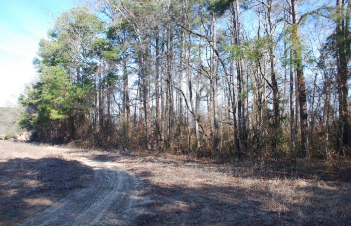 33.28 acre property north of Red Springs, NC - Lands of the Carolinas ...